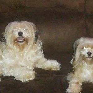 Meet your Posher, Wendy